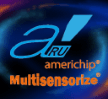 Americhip, Inc.