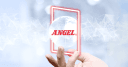 Angel Group Co., Ltd.