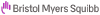 Bristol-myers Company