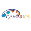 Cambrios Film Solutions Corporation