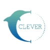 Cleversafe, Inc.