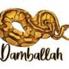 Damballa, Inc.