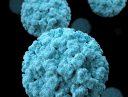Denovo Sciences, Inc.