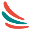 E-vision, LLC