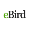 Ebi, LLC