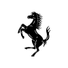 Ferrari S.p.a.
