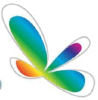 Movidius Limited