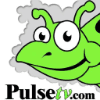 Pulse Gmbh