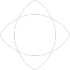 The Spectranetics Corporation
