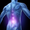 Spinal Kinetics, Inc.