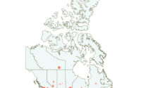 canadaa