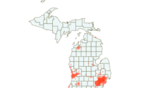 MI