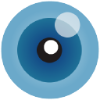 Viewdle Inc.