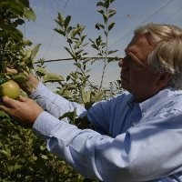 Herbert S Aldwinckle