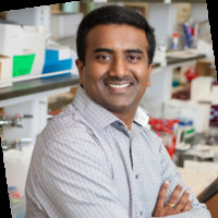 Srikanth Singamaneni