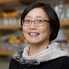 Yan-Yan Hu